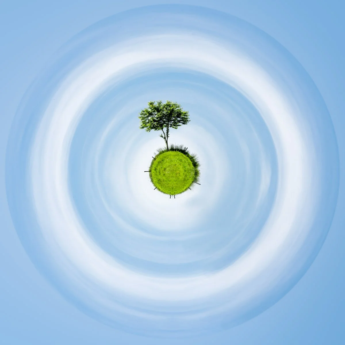 'Mini Planet of a Solitary Tree' by Paul Marnef