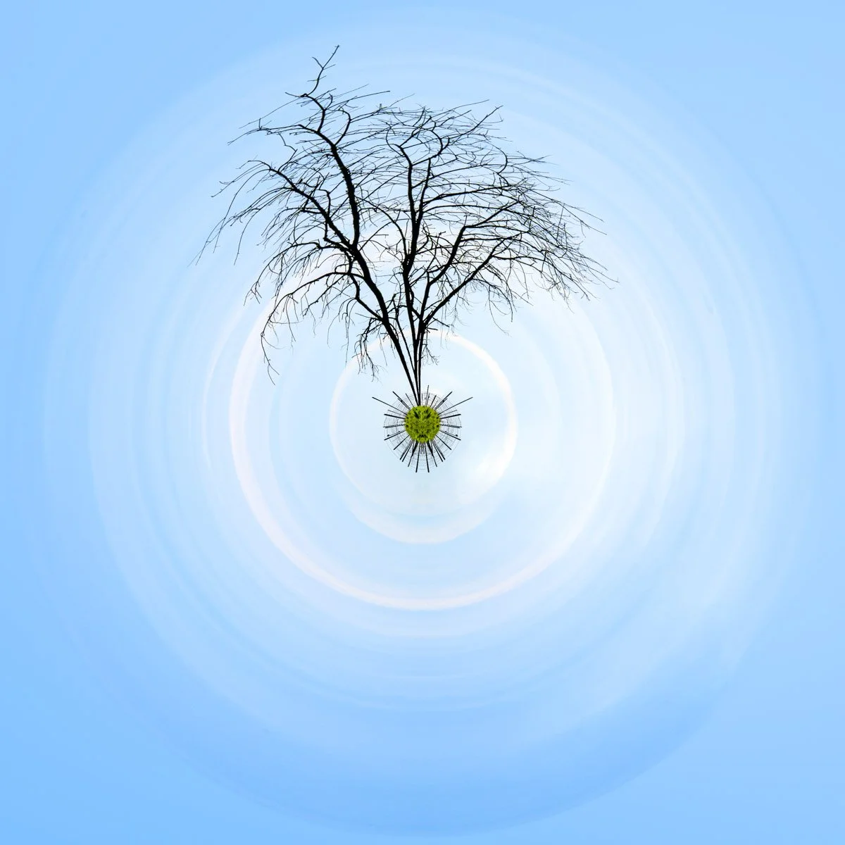 A leafless tree rises above a small, verdant planet, surrounded by white circles and a blue sky.