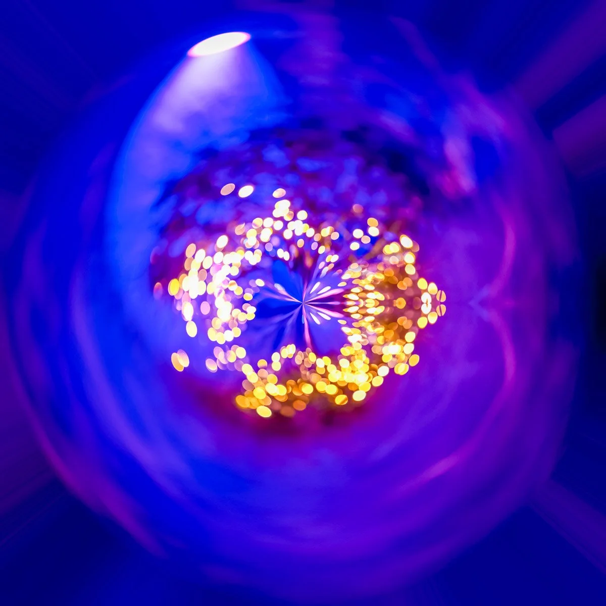 A circular arrangement of yellow, blue and purple lights created for the Nature Illuminated festival.