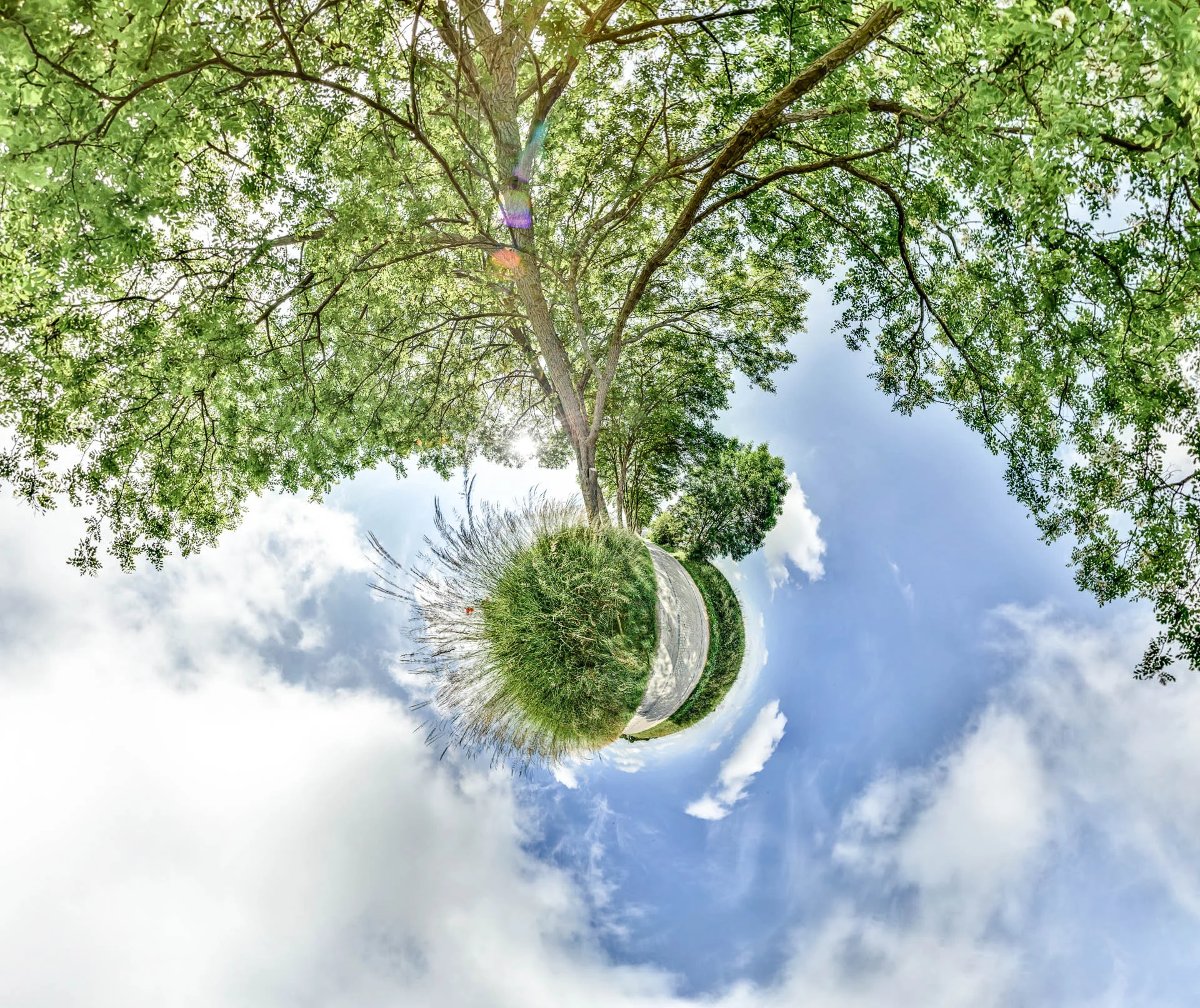 Photo mini planète de Paul Marnef intitulée : Etrange Chemin